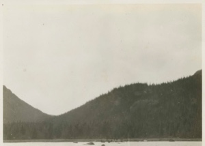 Image of Hills and woods near Labrador Scientific Station